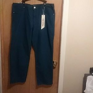 💕*Sale*Nwt Gorgeous Teal Color Jeans Size 22W